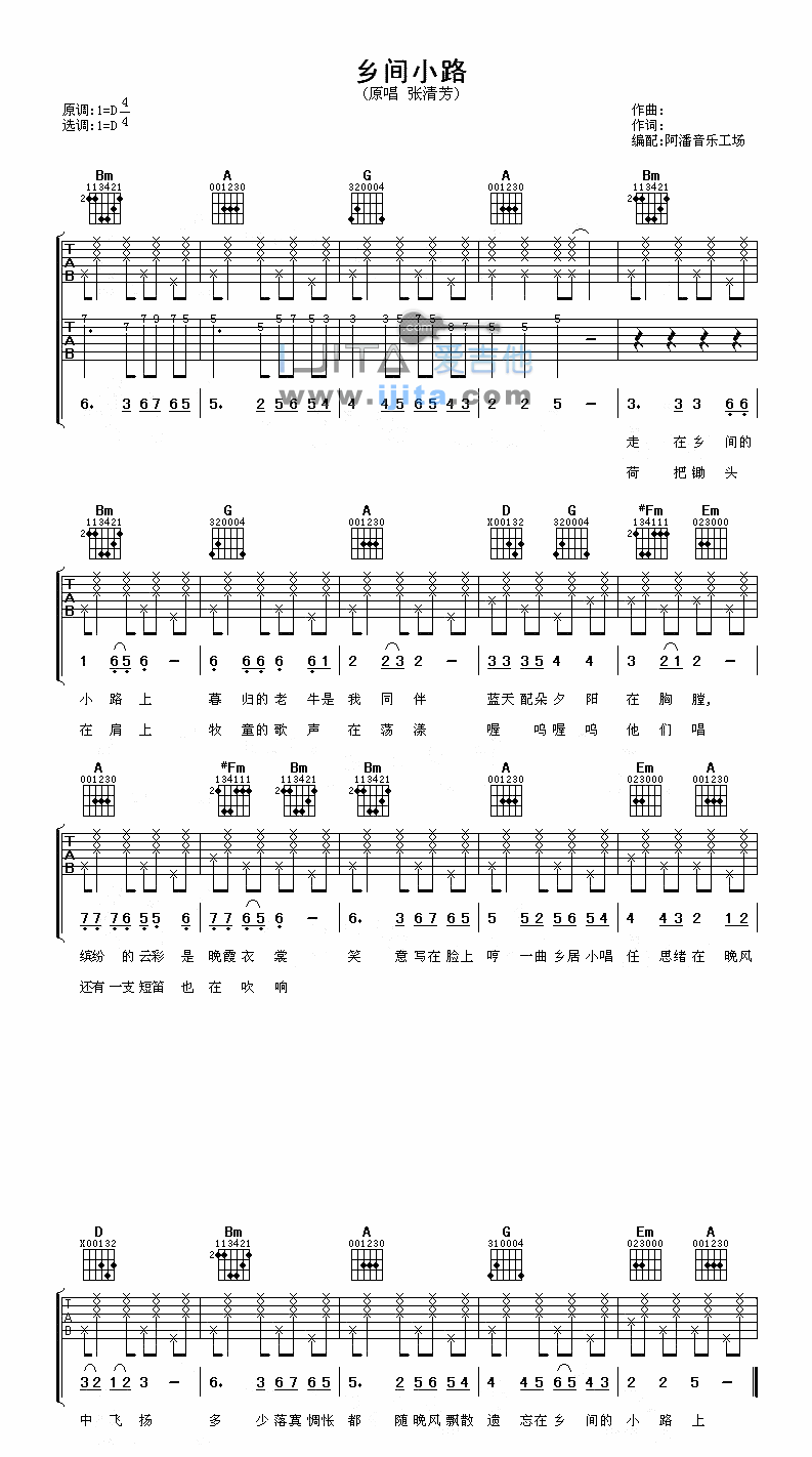 《乡间小路》吉他谱-C大调音乐网
