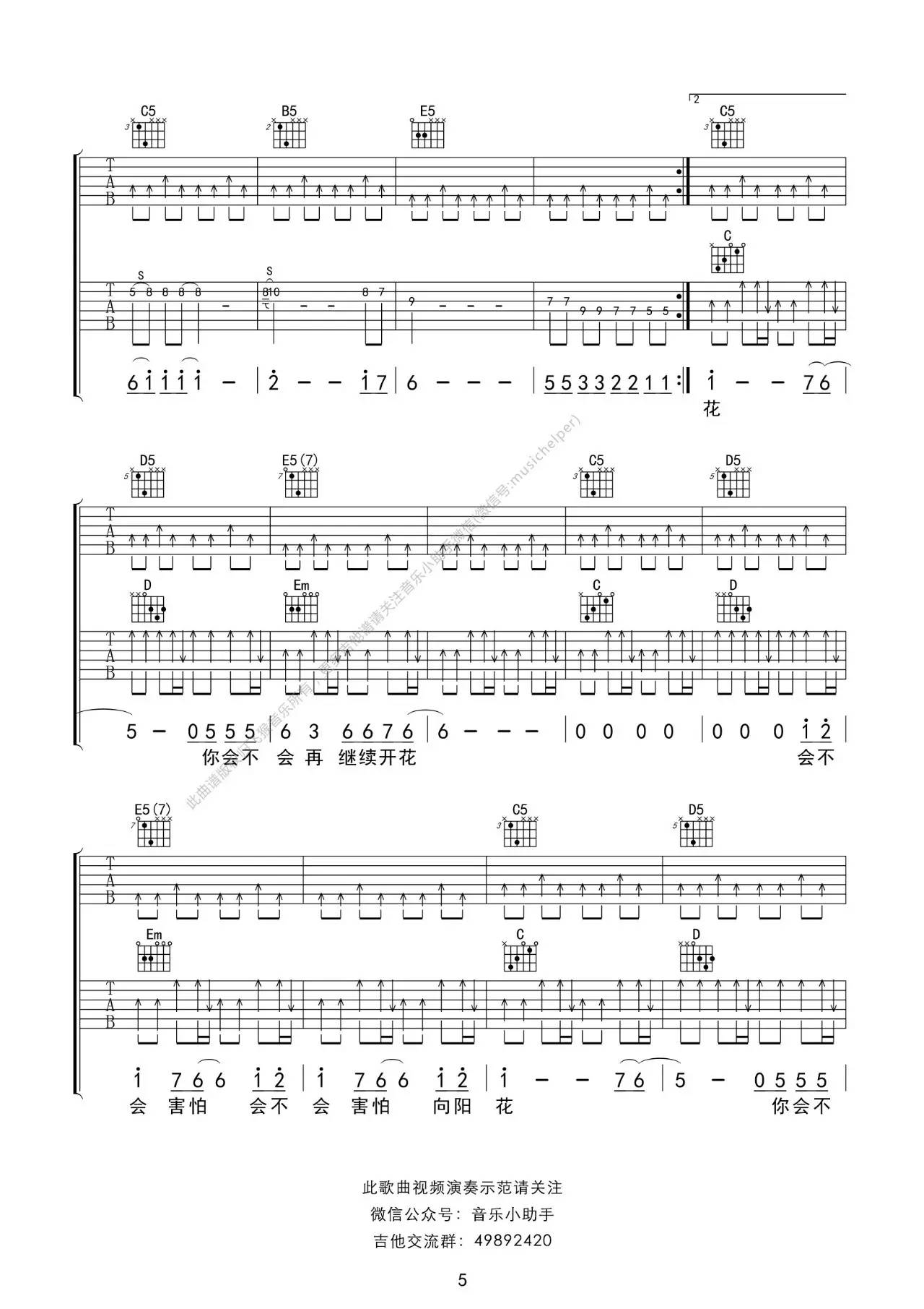 《《向阳花》吉他弹唱 | 飞猴乐器制作出品》吉他谱-C大调音乐网