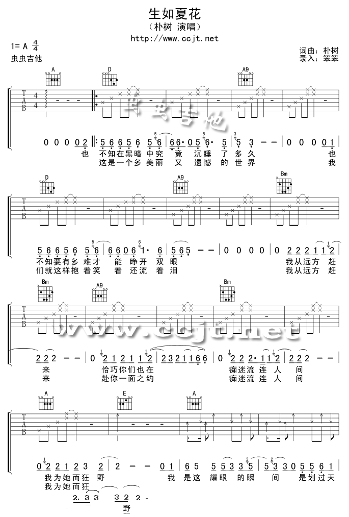 生如夏花-C大调音乐网