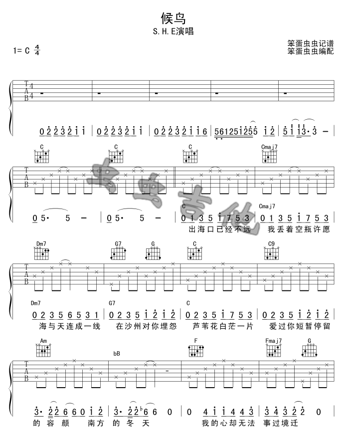 候鸟-C大调音乐网