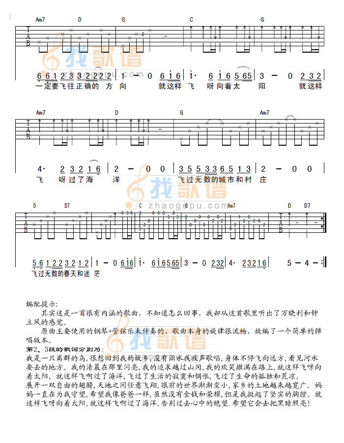 《我是一只离群的鸟》吉他谱-C大调音乐网