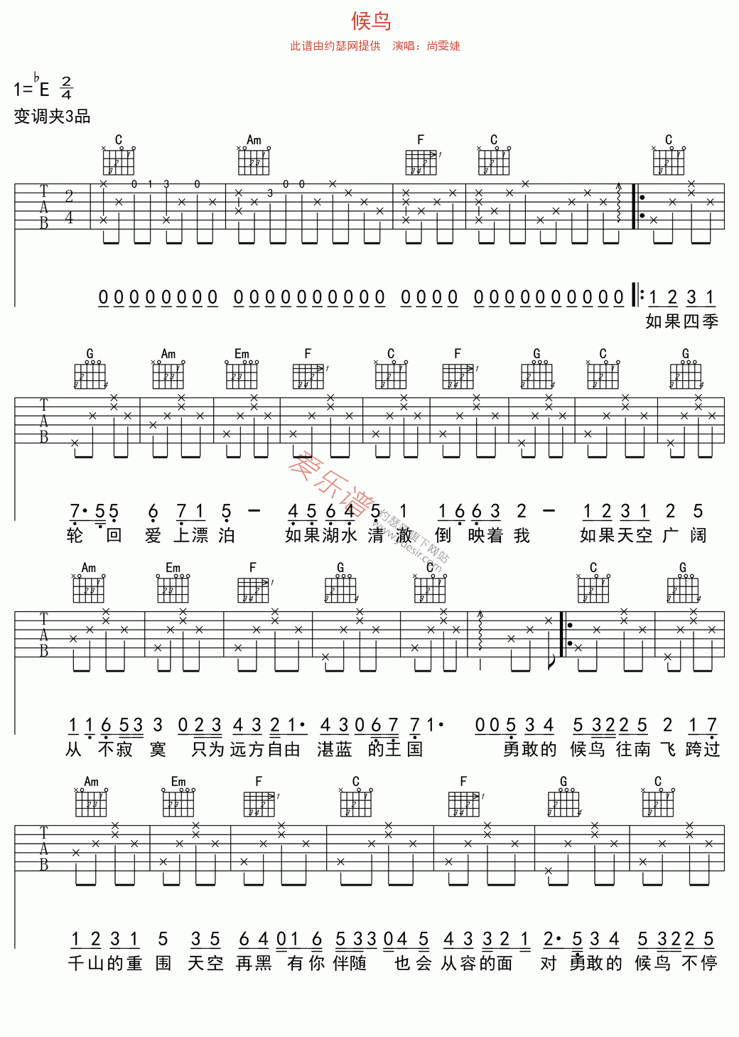 《尚雯婕《候鸟》》吉他谱-C大调音乐网