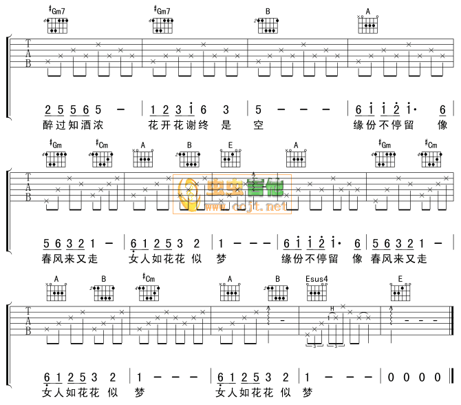 《女人花》吉他谱-C大调音乐网
