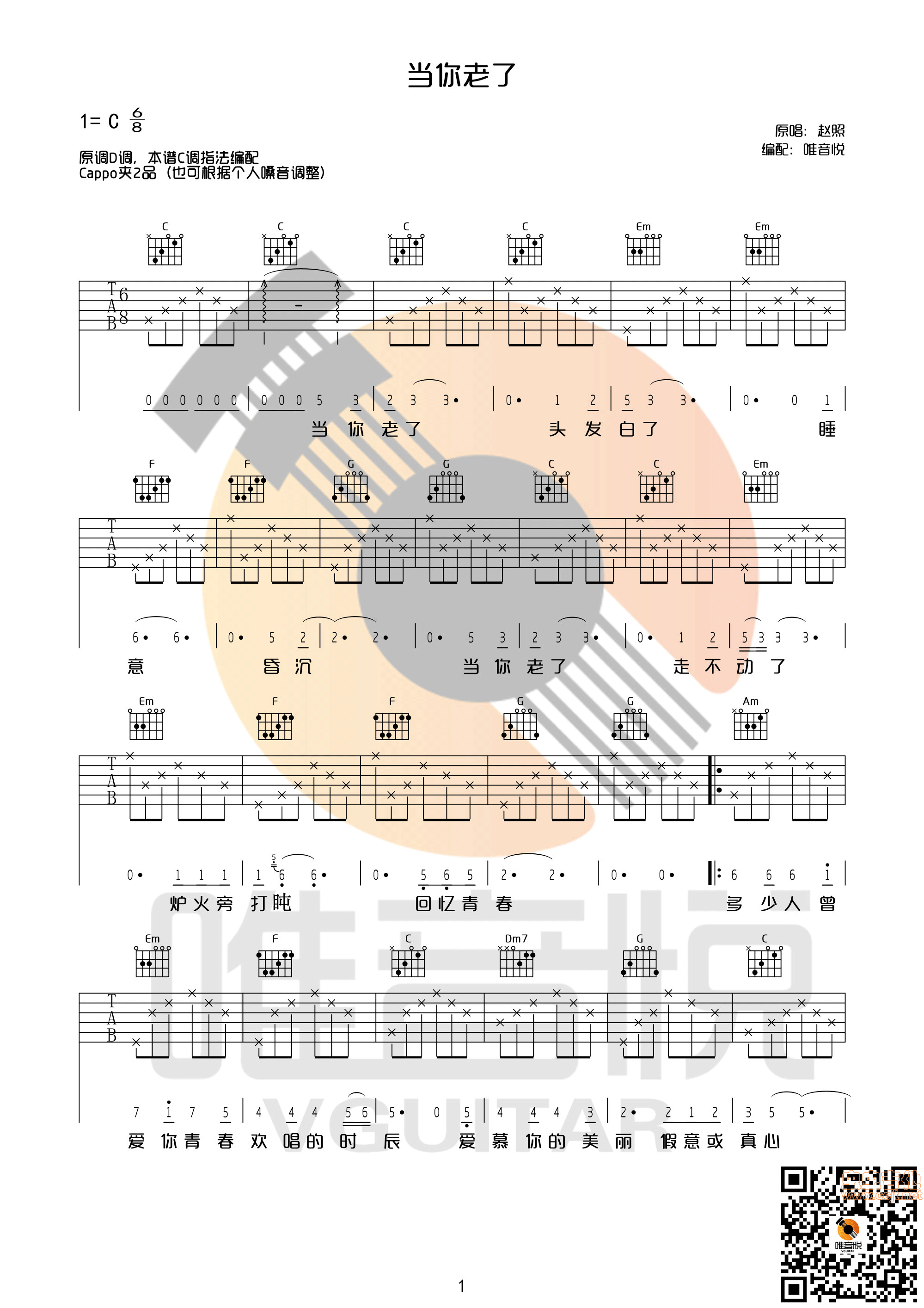《当你老了赵照完整版口琴solo间奏版完美版》吉他谱-C大调音乐网