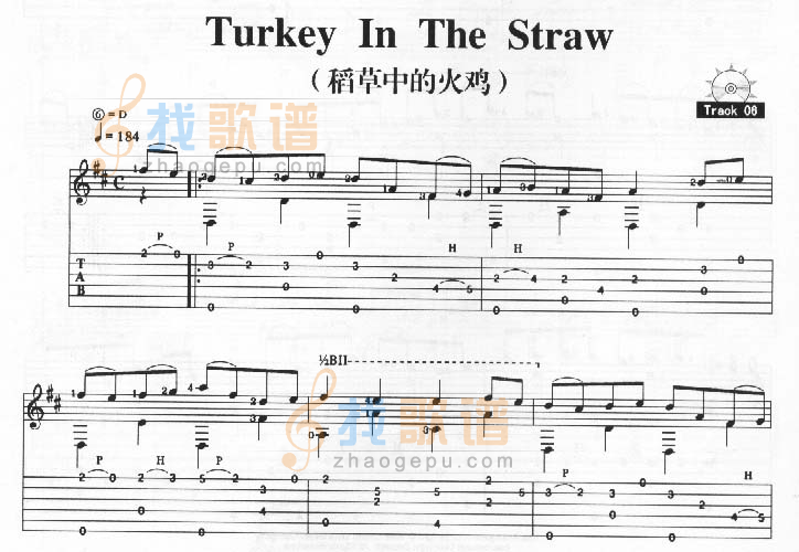 《Turkey In The Straw－稻草中的火鸡》吉他谱-C大调音乐网