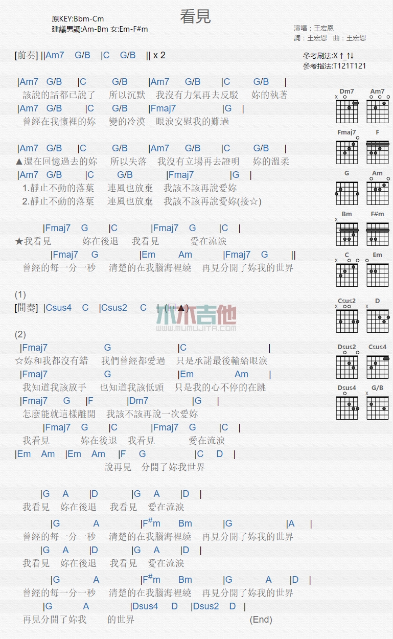 《看见》吉他谱-C大调音乐网