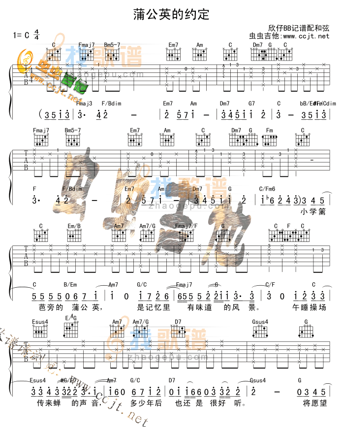 《蒲公英的约定》吉他谱-C大调音乐网