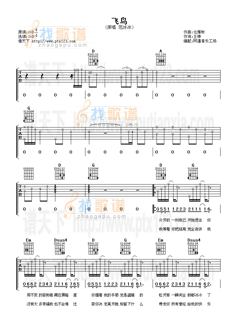 《飞鸟》吉他谱-C大调音乐网
