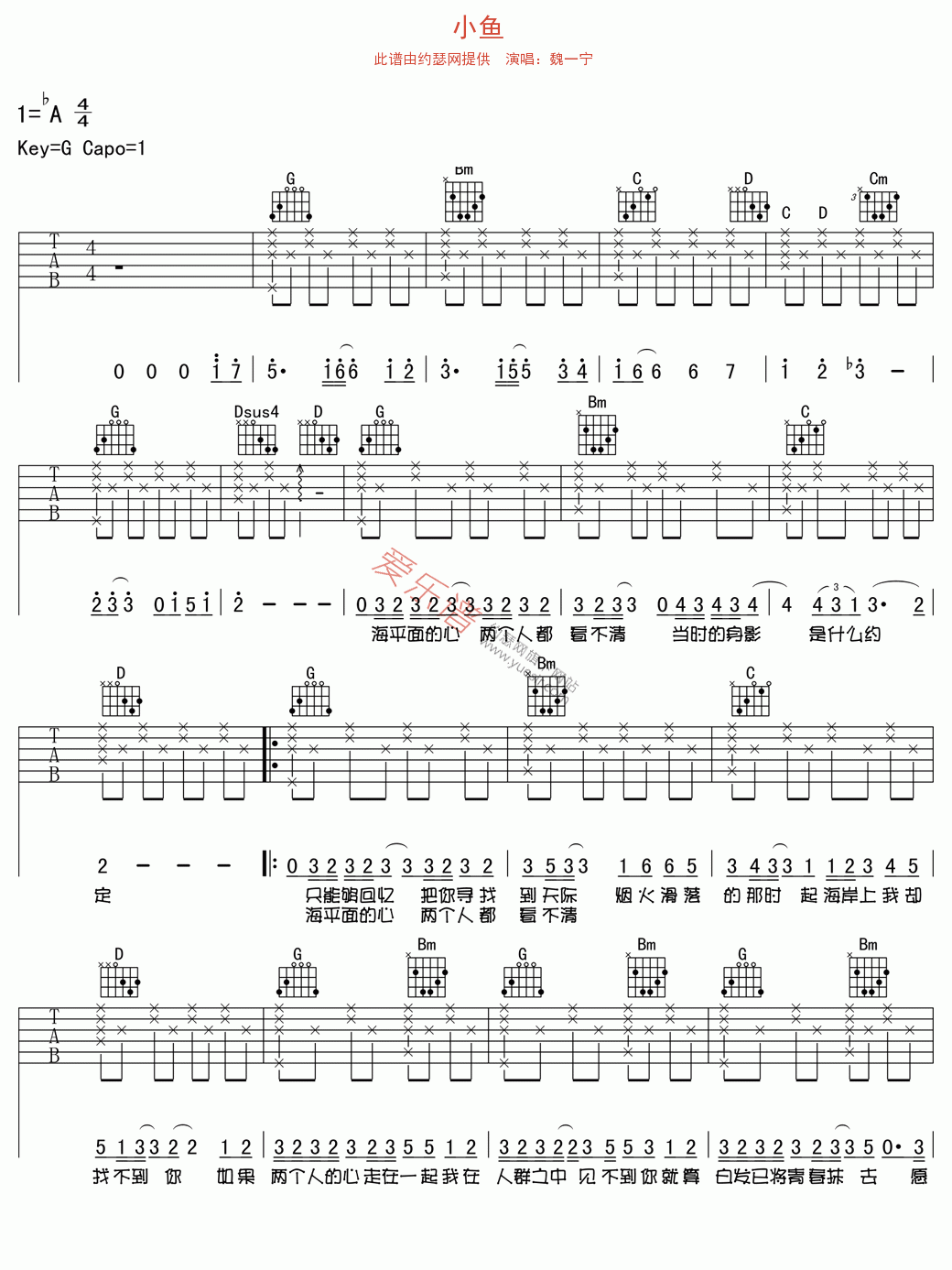 《魏一宁《小鱼》》吉他谱-C大调音乐网