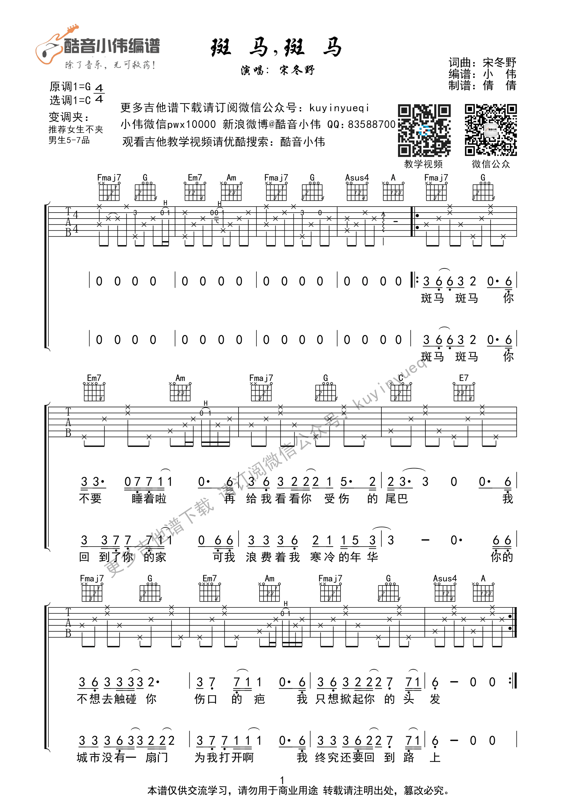 《斑马斑马》吉他谱 宋冬野 C调指法编配-C大调音乐网