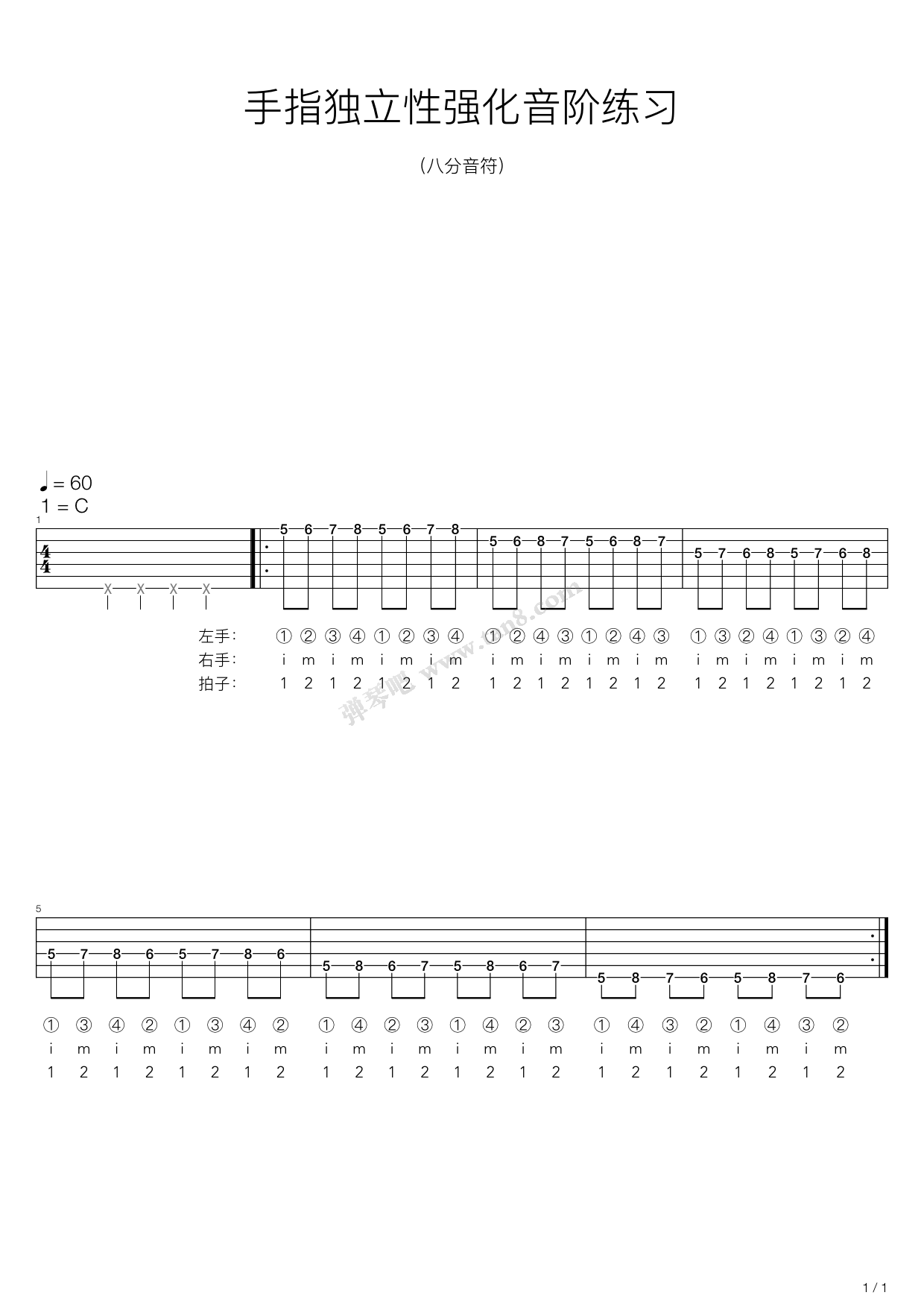 《手指独立性强化音阶练习（八分音符）》吉他谱-C大调音乐网