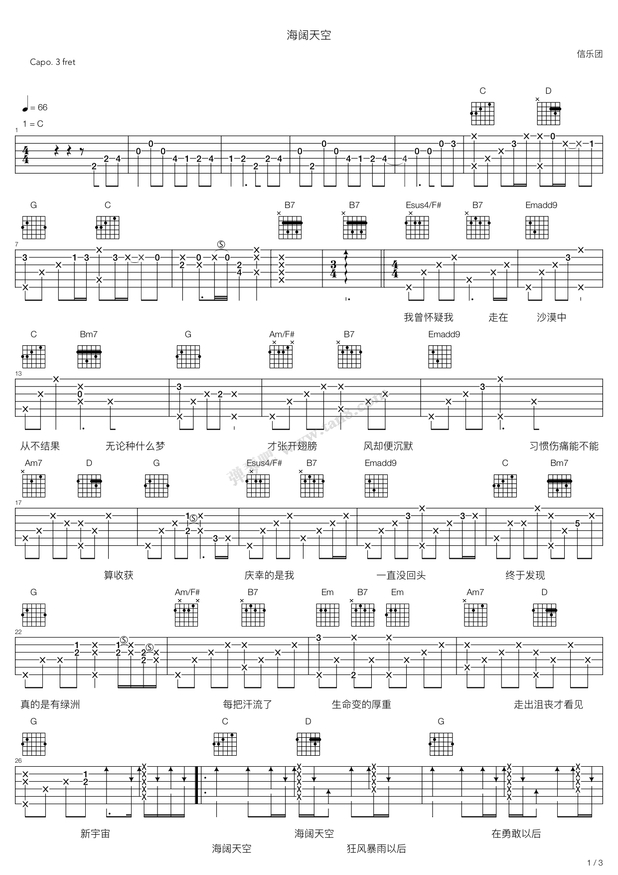 《信乐团《海阔天空》吉他谱弹唱谱》吉他谱-C大调音乐网