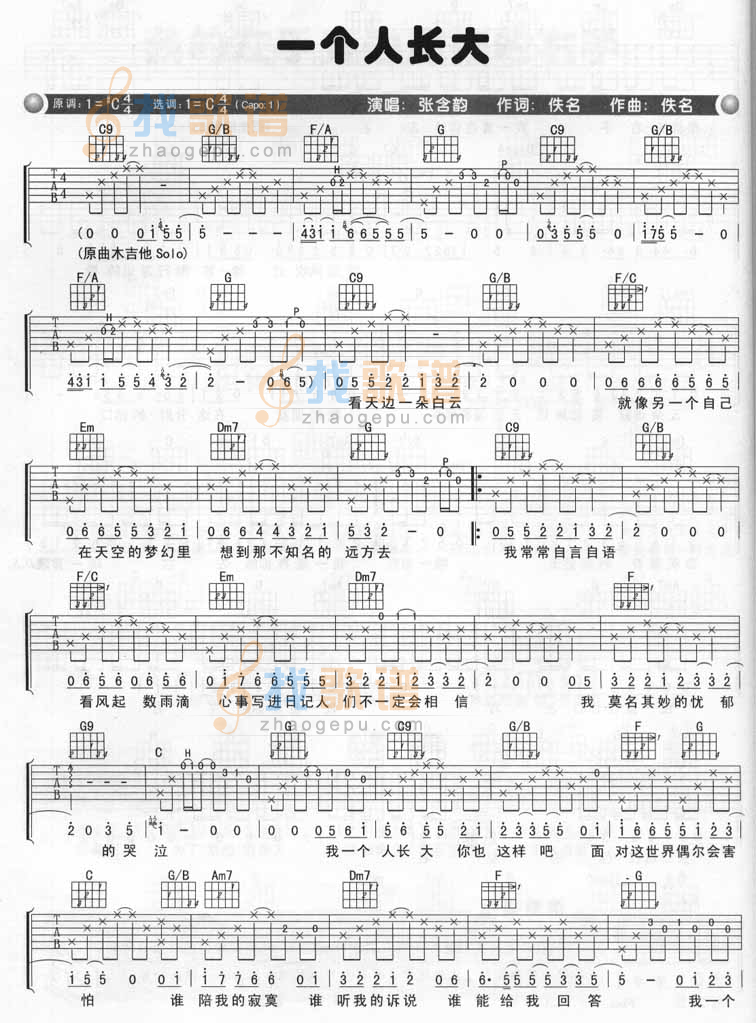 《一个人长大》吉他谱-C大调音乐网