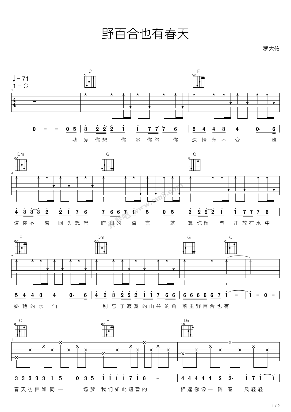 《野百合也有春天（C调吉他弹唱谱）》吉他谱-C大调音乐网