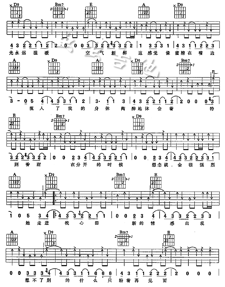 《糖》吉他谱-C大调音乐网