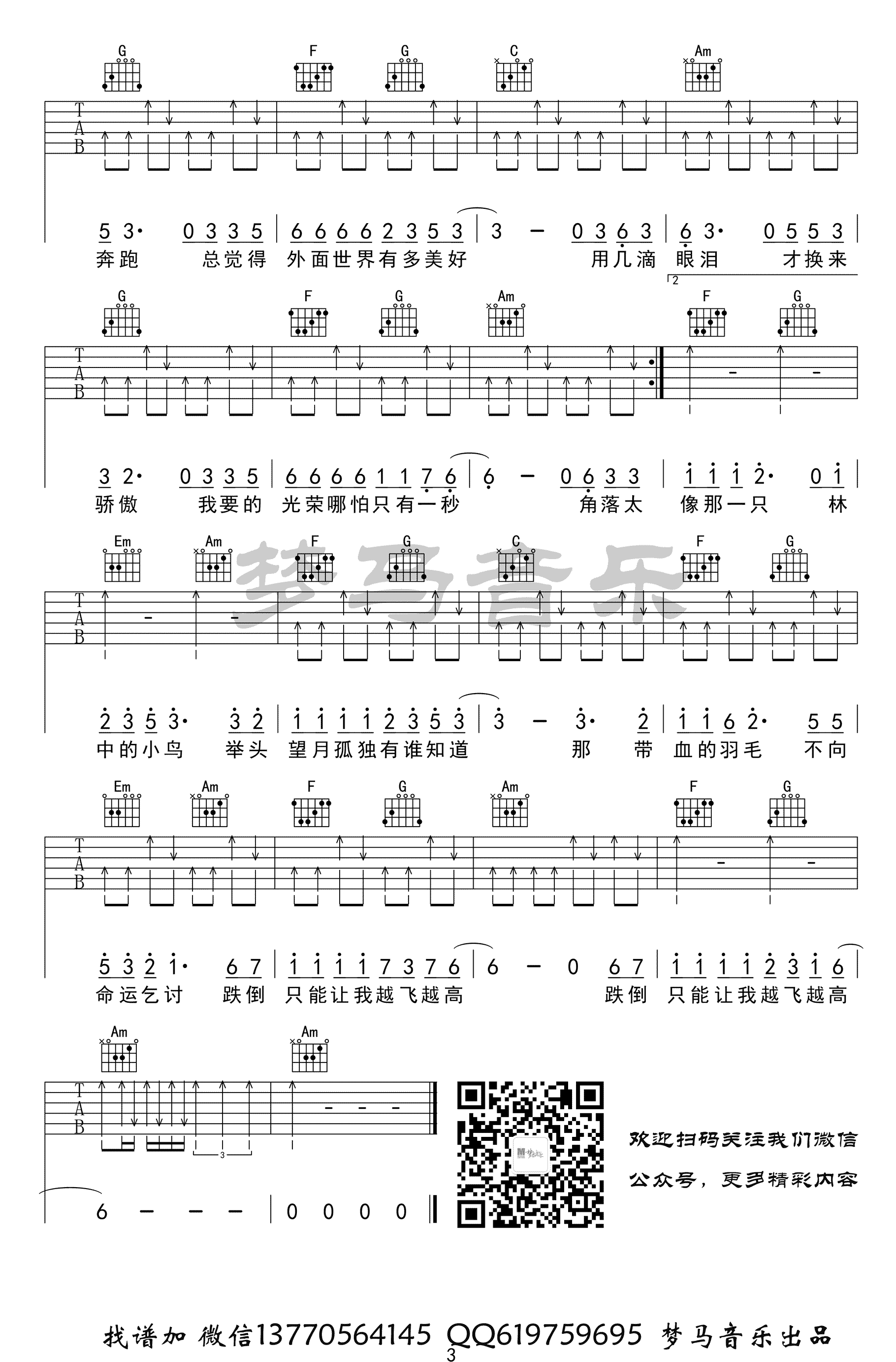 林中鸟吉他谱_葛林_C调六线谱_吉他弹唱视频-C大调音乐网