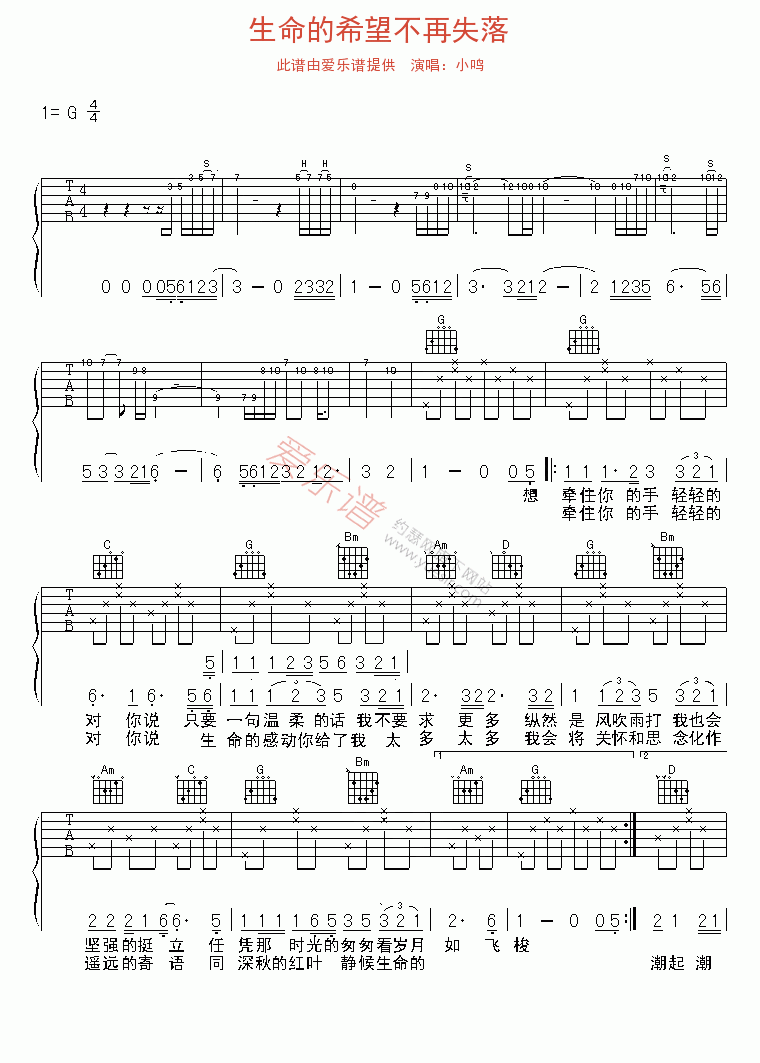 《小鸣《生命的希望不再失落》》吉他谱-C大调音乐网