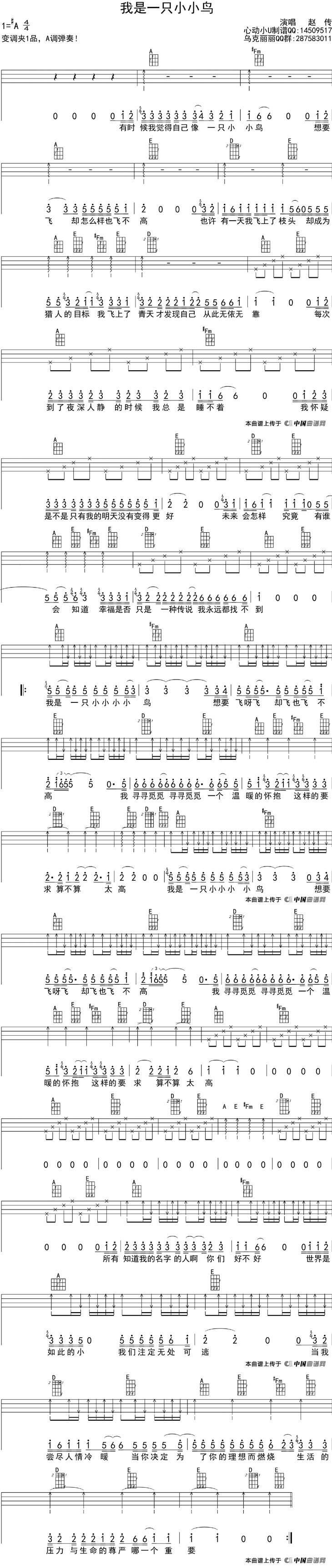 我是一只小小鸟-赵传-C大调音乐网