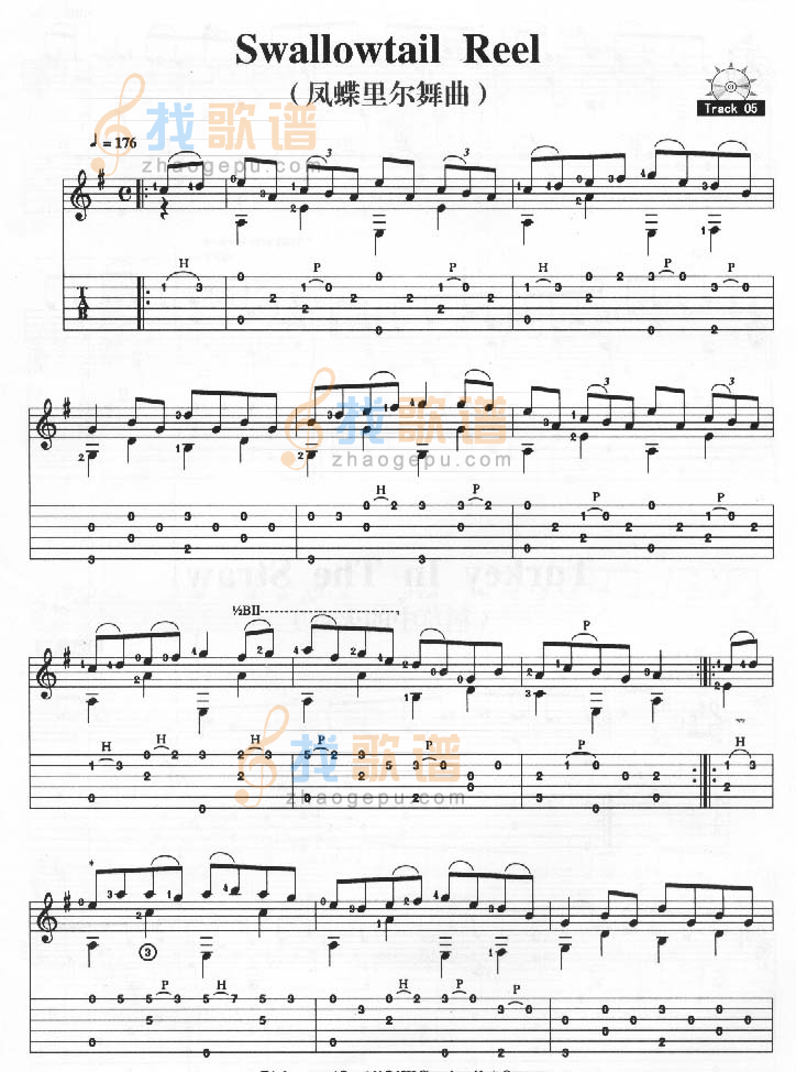 《Swallowtail Reel－凤蝶里尔舞曲》吉他谱-C大调音乐网
