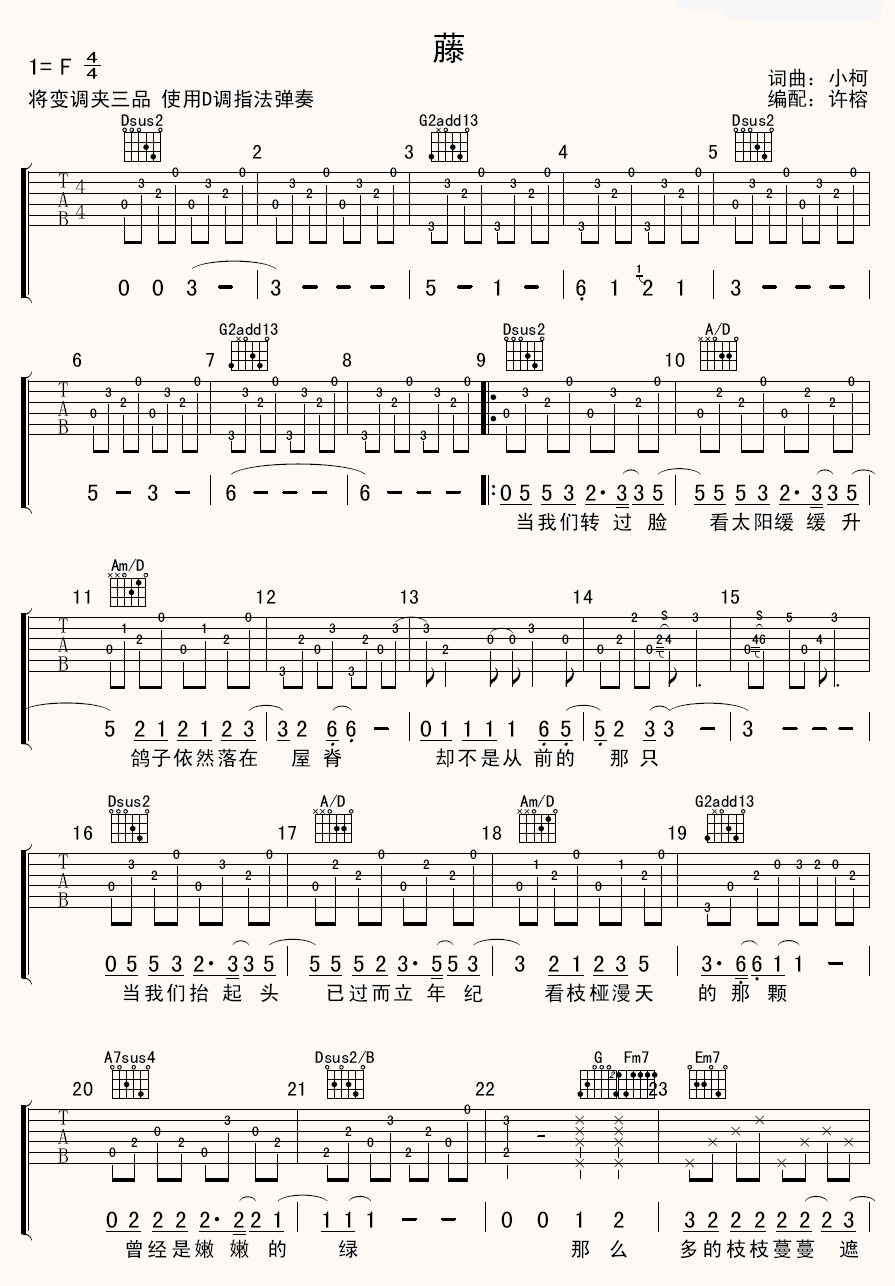 小柯《藤》吉他谱-C大调音乐网