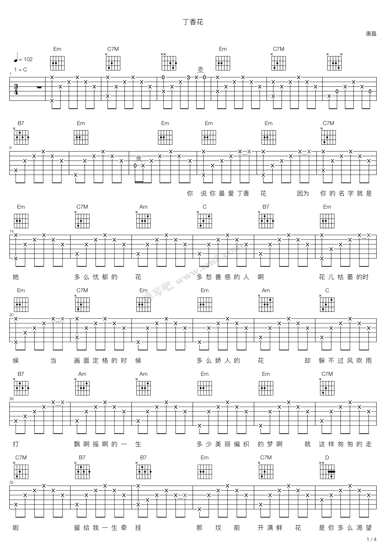 《丁香花》吉他谱-C大调音乐网