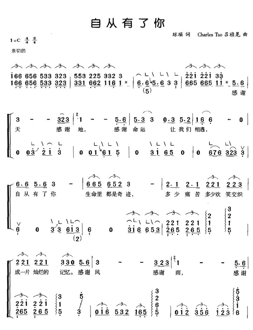 《自从有了你-古筝伴奏谱(简谱)》吉他谱-C大调音乐网