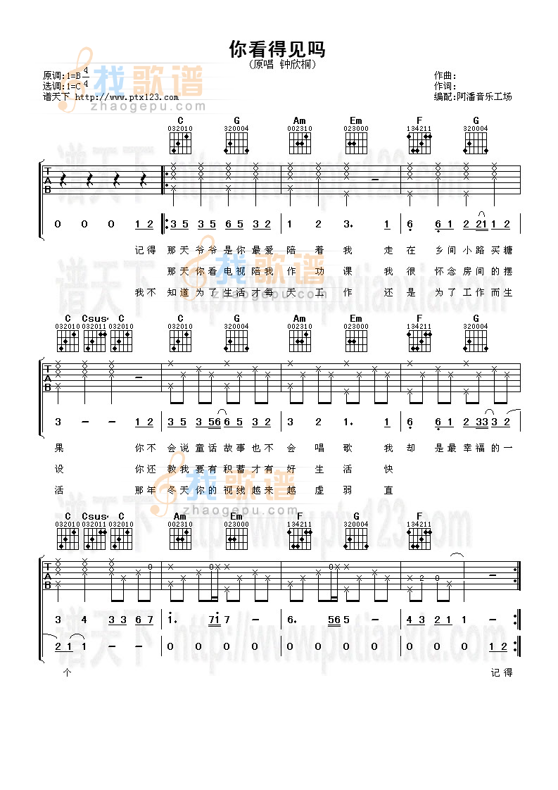 《你看得见吗》吉他谱-C大调音乐网