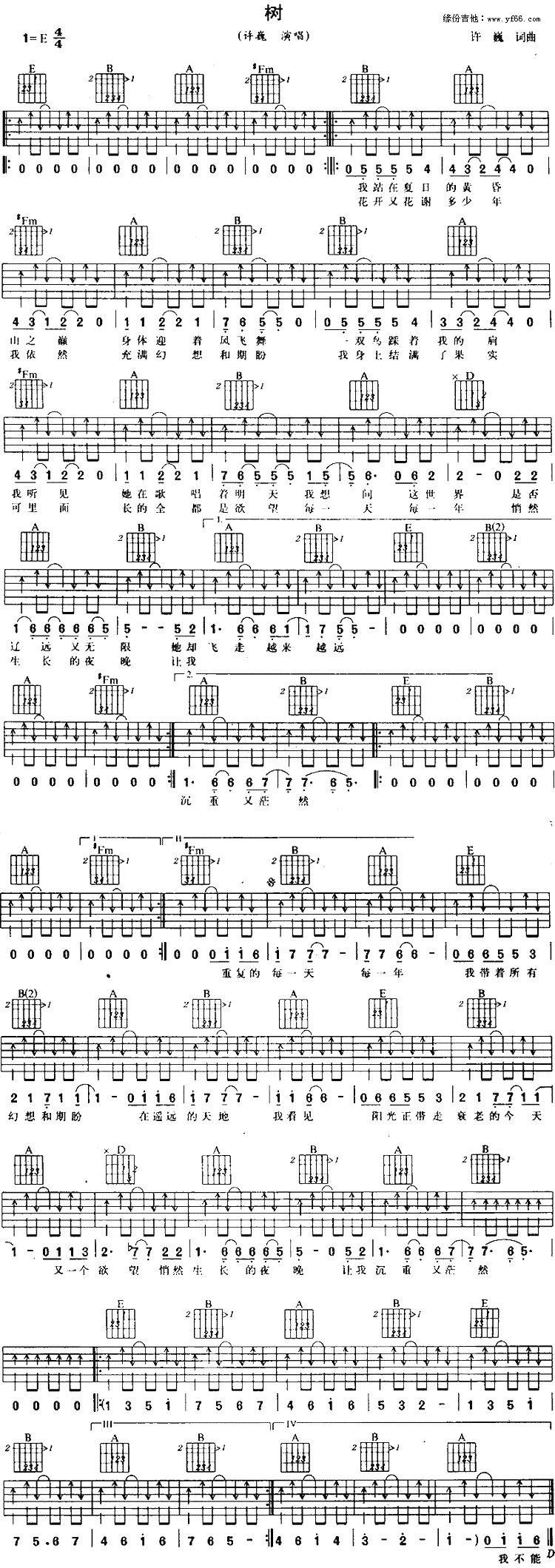 《树》吉他谱-C大调音乐网