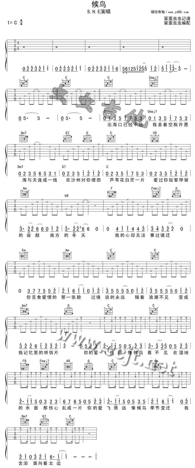 《候鸟》吉他谱-C大调音乐网