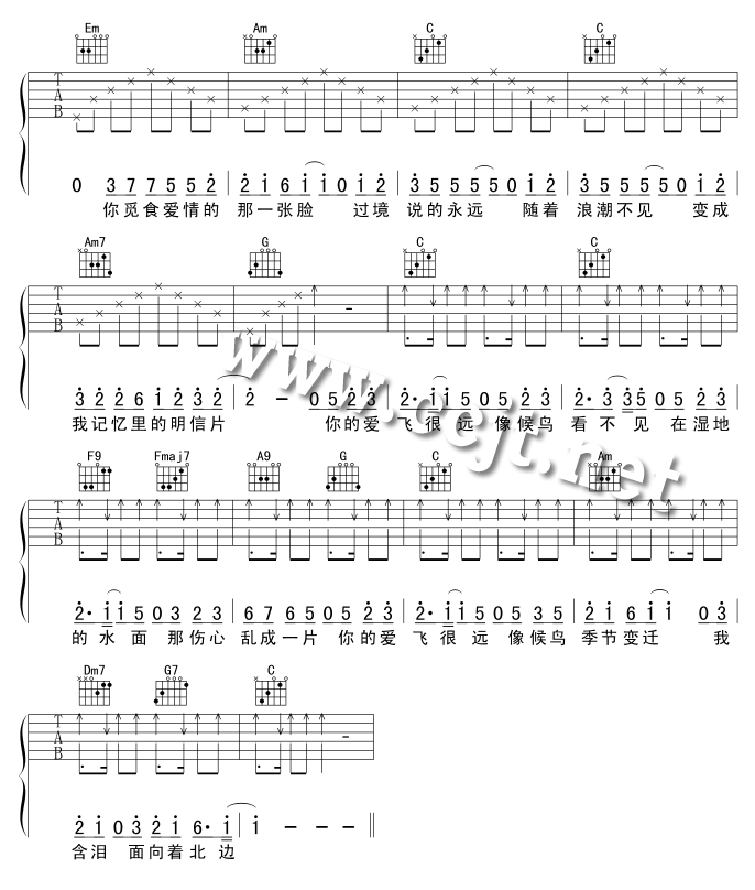《候鸟》吉他谱-C大调音乐网