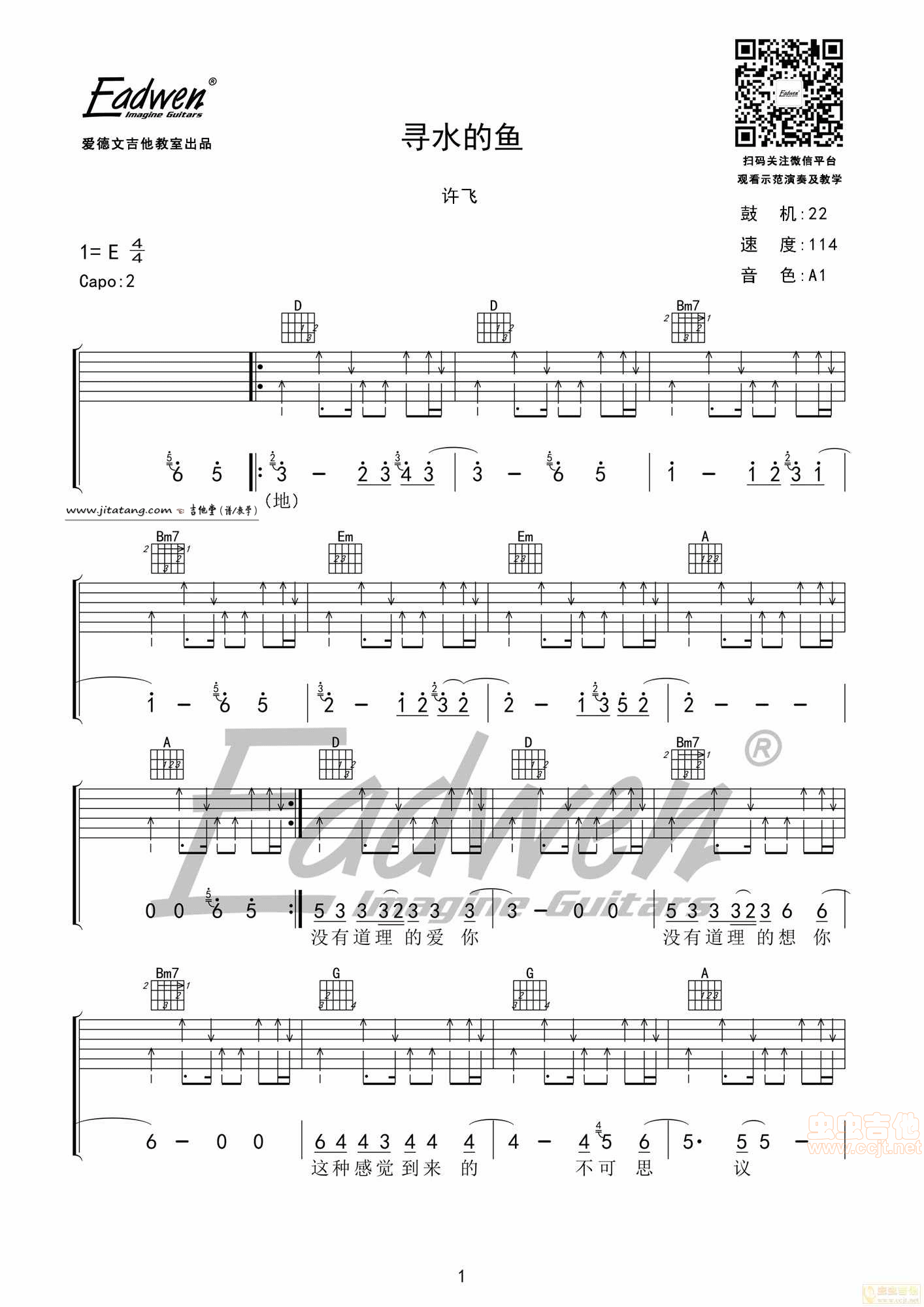 《寻水的鱼吉他谱_许飞_寻水的鱼伴奏弹唱E调》吉他谱-C大调音乐网