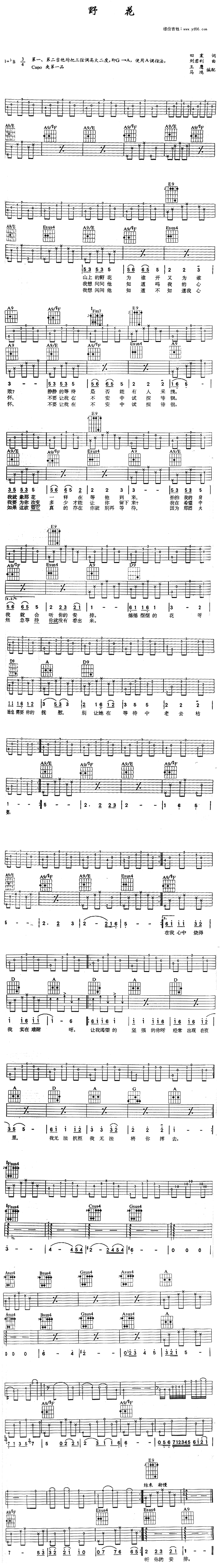 《野花》吉他谱-C大调音乐网