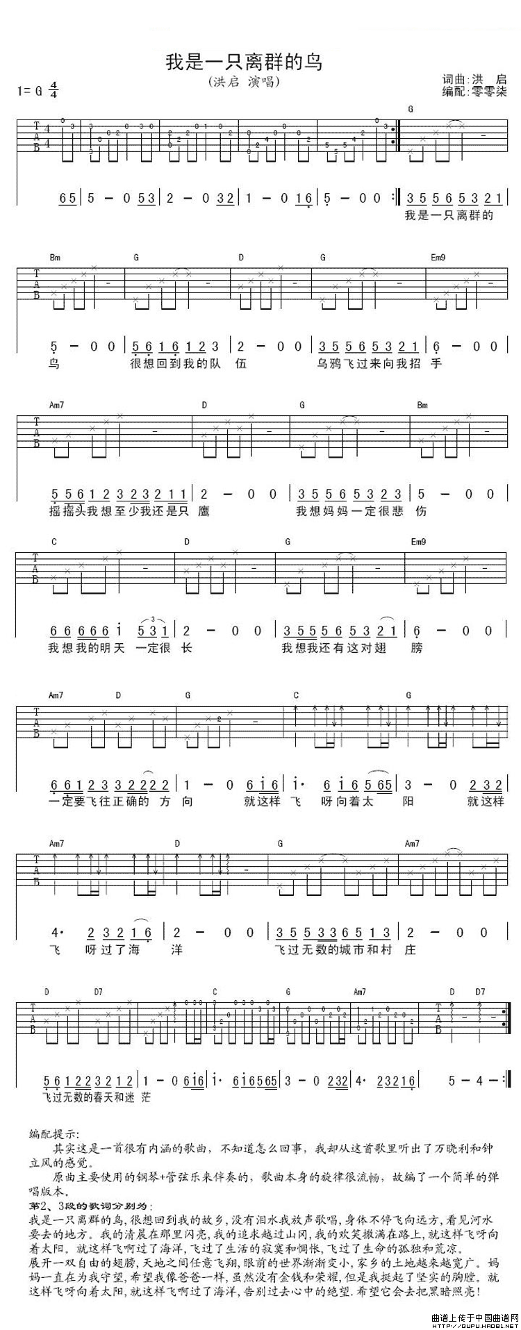 《洪启《我是一只离群的鸟》吉他谱/六线谱》吉他谱-C大调音乐网