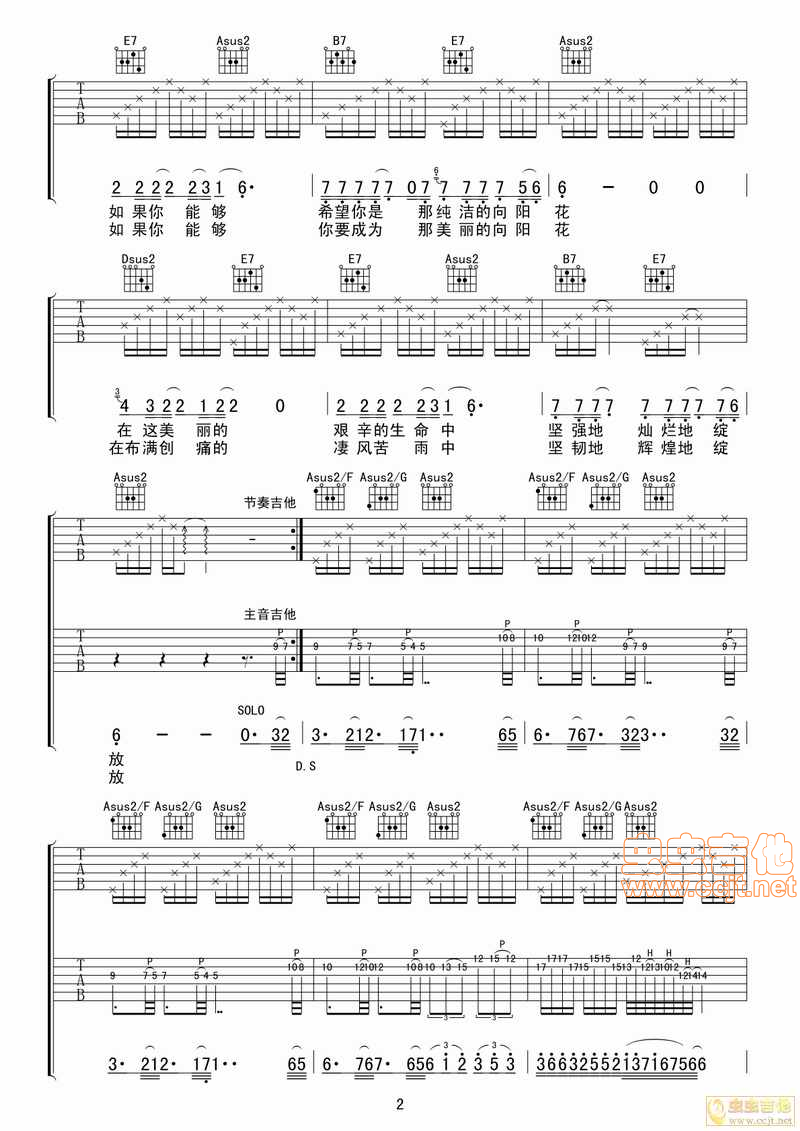 《【全网首发】汪峰《向阳花》完整版吉他谱【蚂蚁制谱】》吉他谱-C大调音乐网