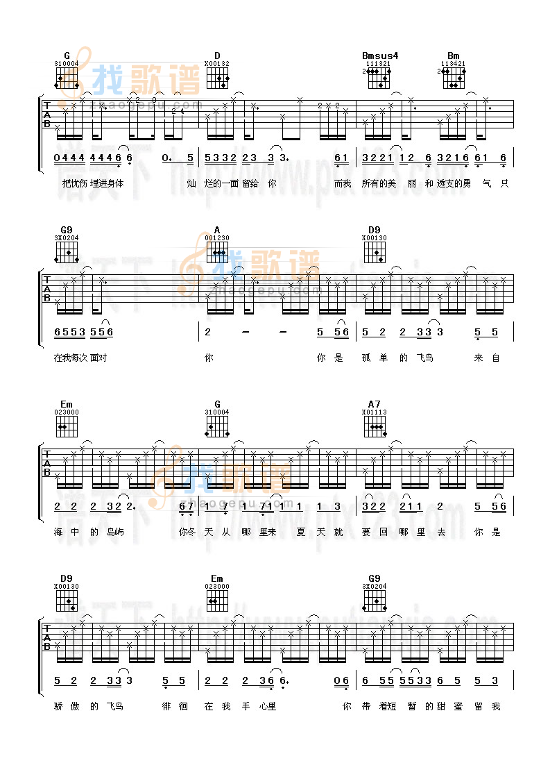 《飞鸟》吉他谱-C大调音乐网