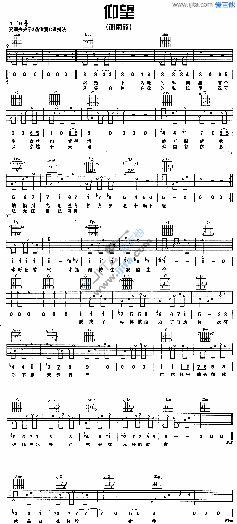 《仰望》吉他谱-C大调音乐网