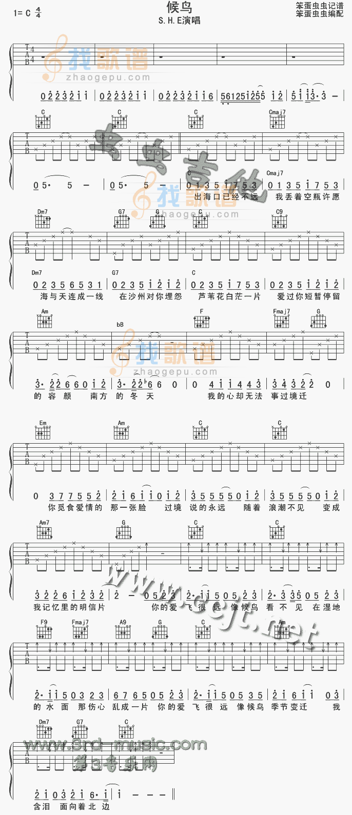《候鸟》吉他谱-C大调音乐网