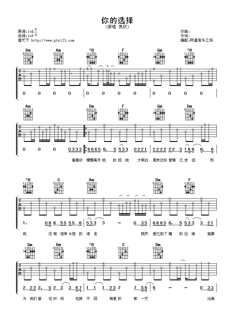 易欣 你的选择吉他谱-C大调音乐网