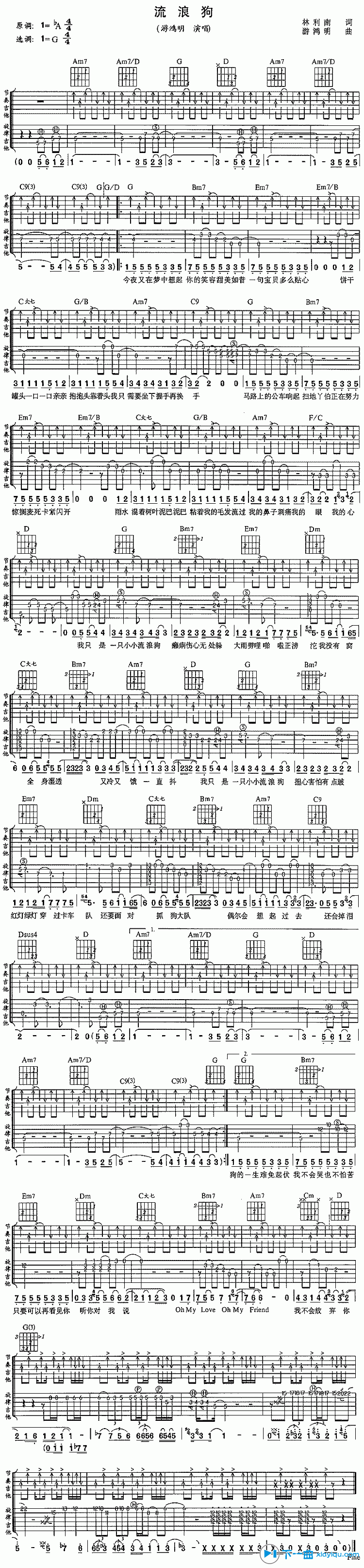 《流浪狗吉他谱A调_游鸿明流浪狗六线谱》吉他谱-C大调音乐网