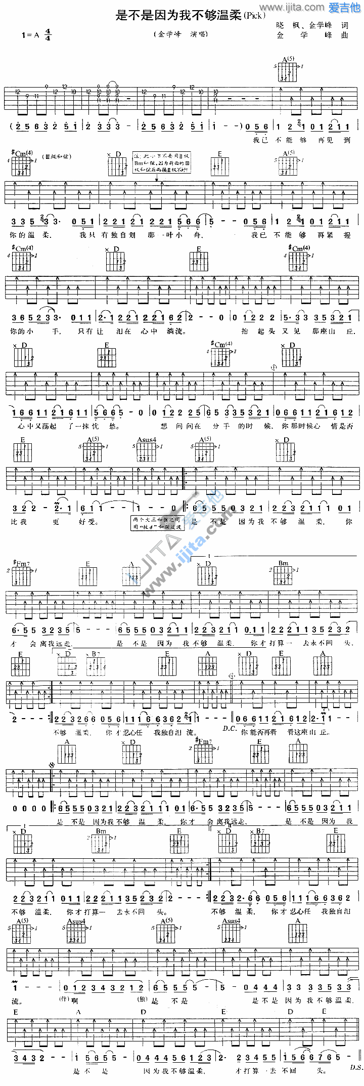 《是不是因为我不够温柔》吉他谱-C大调音乐网