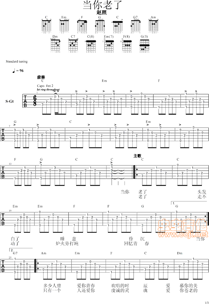 《当你老了-赵照带前奏，间奏，尾奏GTP6PDF》吉他谱-C大调音乐网