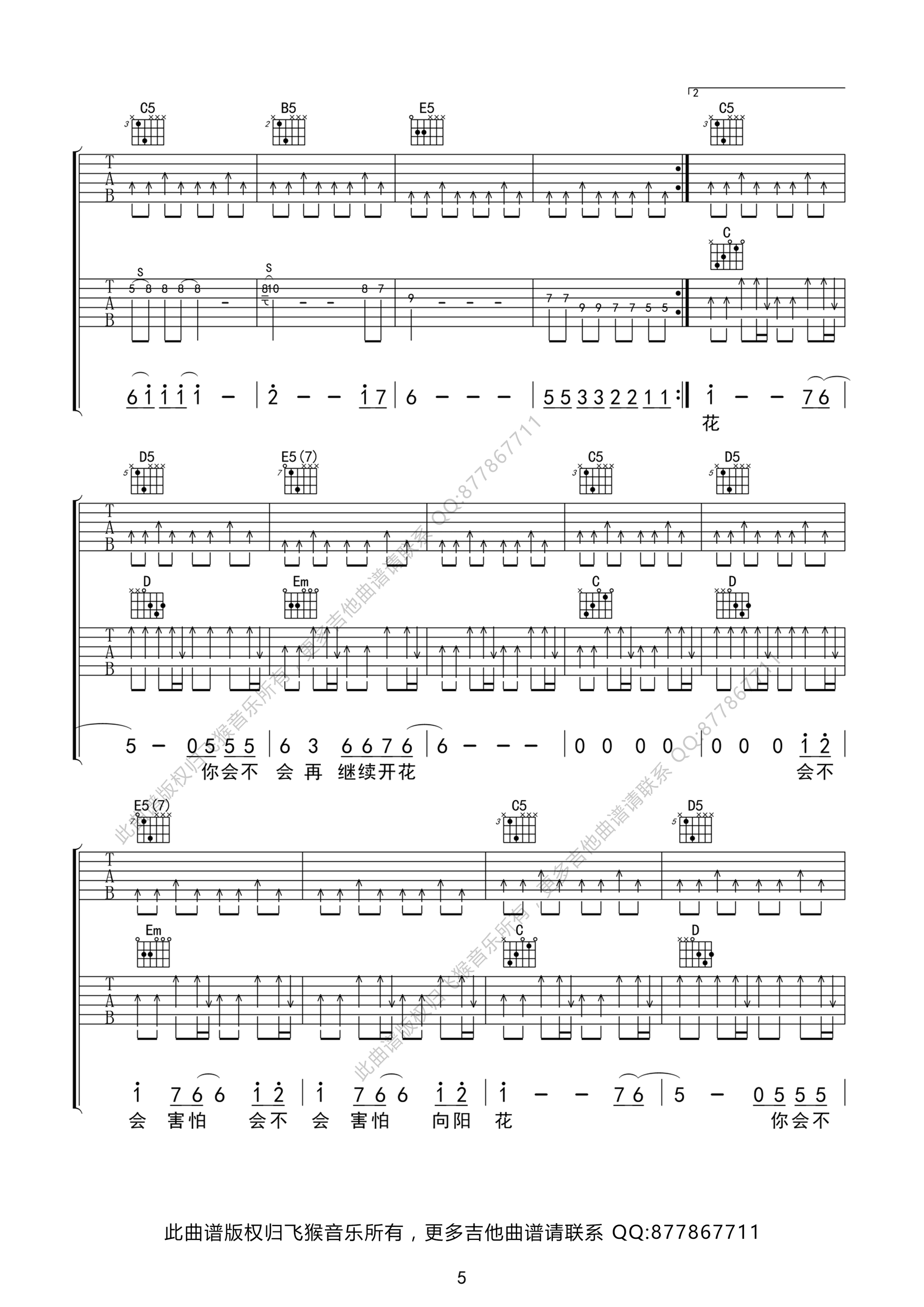 向阳花吉他谱 谢天笑 G调双吉他版（飞猴乐器制作出品）-C大调音乐网