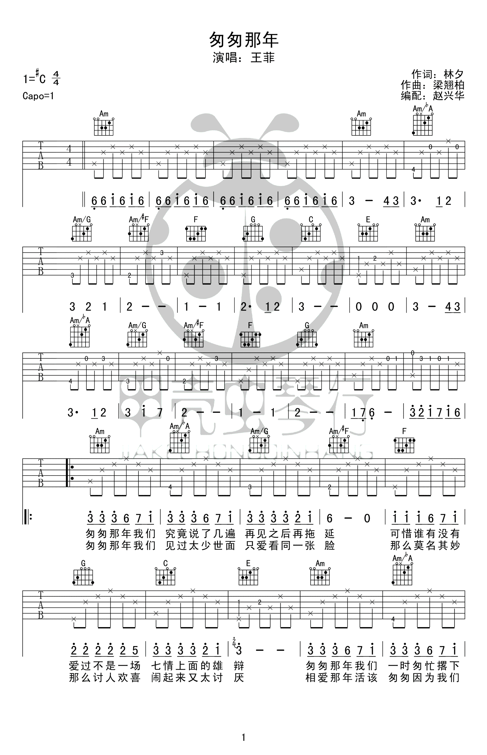 匆匆那年吉他谱C调_王菲_原版弹唱谱_高清图片谱-C大调音乐网