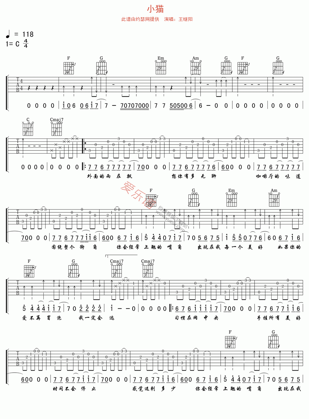《王继阳《小猫》》吉他谱-C大调音乐网