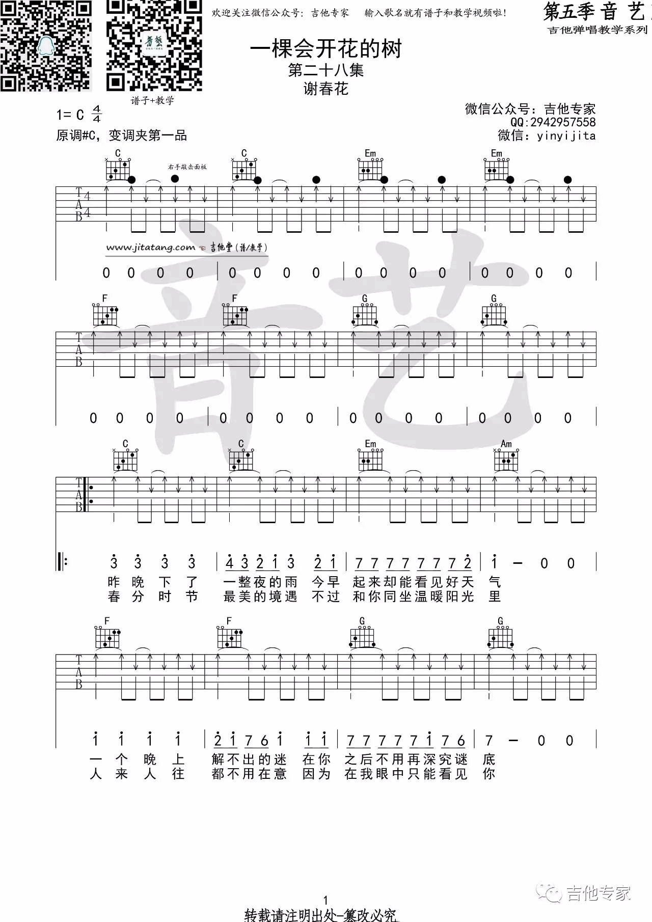 《《一棵会开花的树》吉他谱_谢春花_C调高清六线谱》吉他谱-C大调音乐网