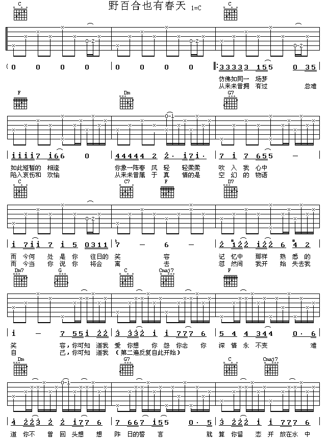 野百合也有春天（-C大调音乐网