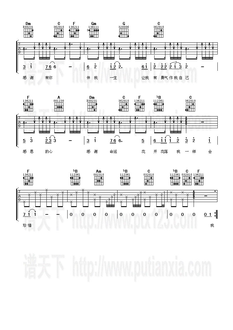 《感恩的心》吉他谱-C大调音乐网