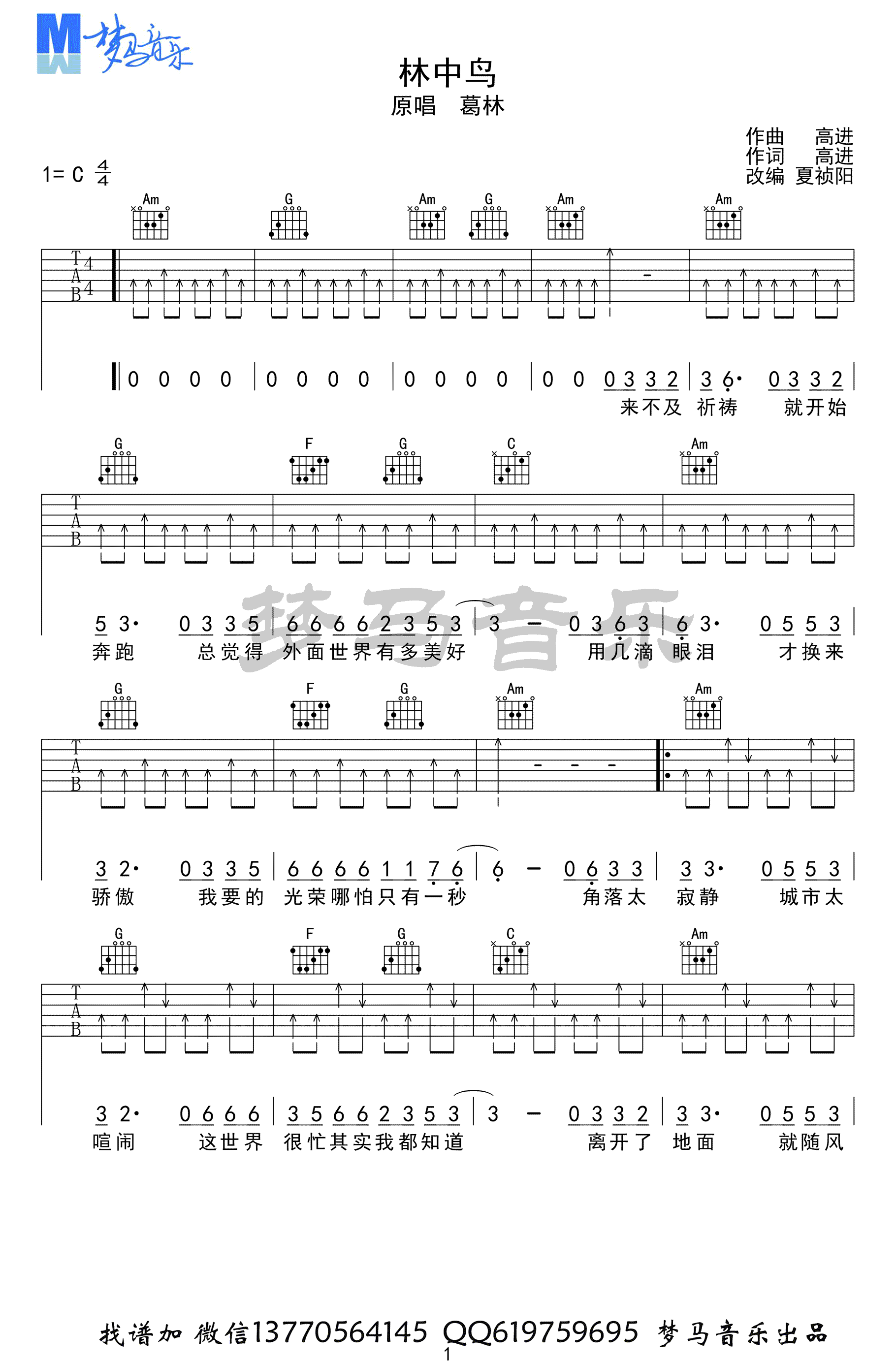 林中鸟吉他谱_葛林_C调六线谱_吉他弹唱视频-C大调音乐网