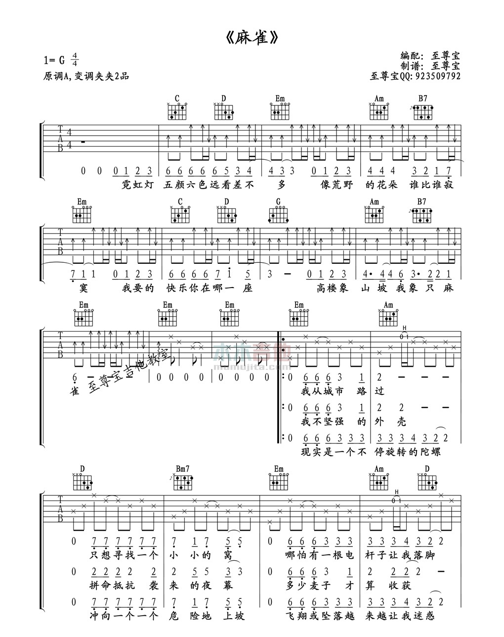 《麻雀》吉他谱-C大调音乐网