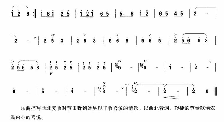 《麦收时节-笛子独奏(笛子曲谱)》吉他谱-C大调音乐网